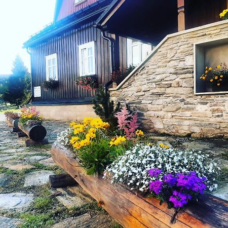 Hotel Stara Skola Dolní Malá Úpa Exterior foto